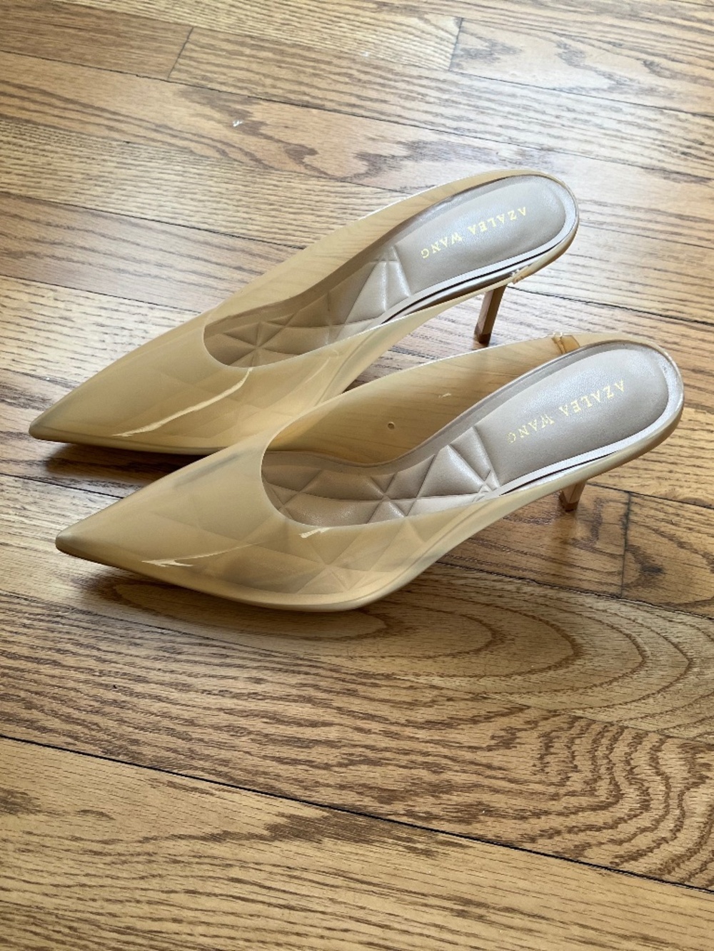 Azalea Wang Nude Pointed-Toe Mule Heels